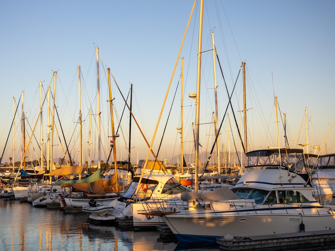 Boats moored in a marina in warm evening light