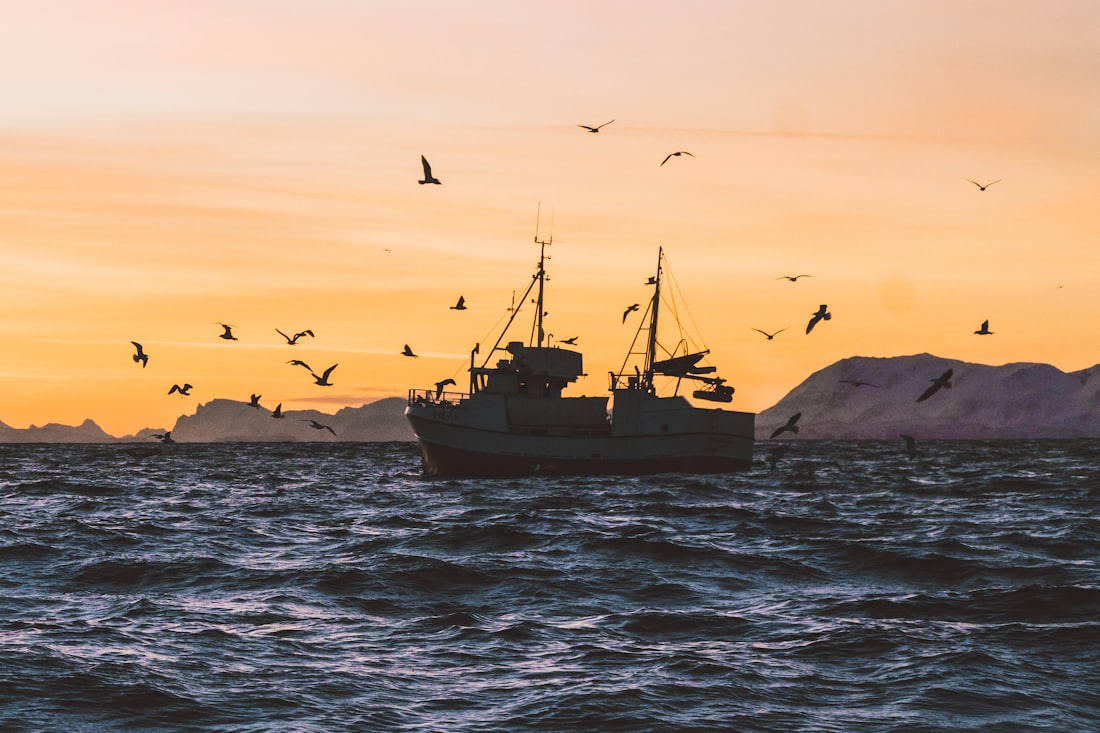 A fishing boat silhouetted against a golden sunset off the coast