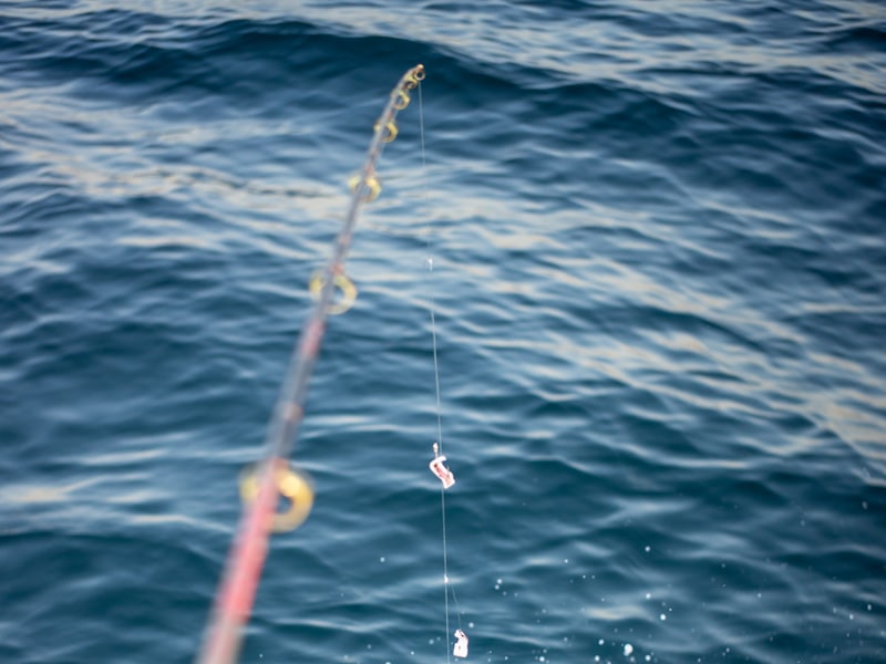 A fishing rod bent over deep blue open water